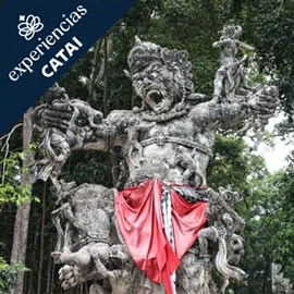 Imagen de DE VIAJE POR BALI