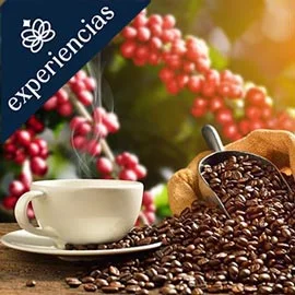 Imagen de PURA VIDA: CON AROMA A CAFÉ, SABORES Y RELAJACIÓN