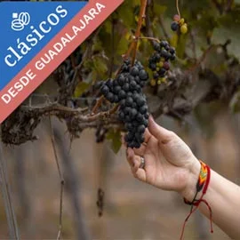 Imagen de SANTIAGO, VALLES VINICOLAS, VIÑA DEL MAR Y VALPARAISO DESDE  GUADALAJARA