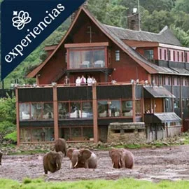 Imagen de SAFARI EN KENIA COMPLETO 2026