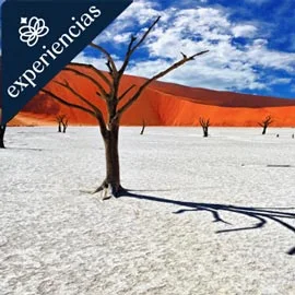 Imagen de BELLEZAS DE NAMIBIA 2026