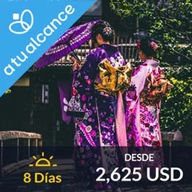 Imagen de JAPÓN A TU ALCANCE II