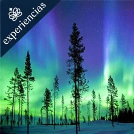 Imagen de ENCANTOS DE NAVIDAD 2026