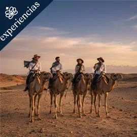 Imagen de MARRUECOS ESENCIAL
