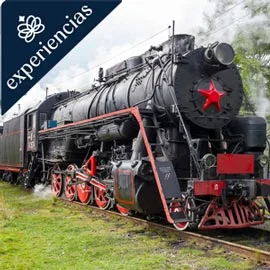Imagen de LA GRAN TRAVESÍA DE RUSIA EN EL TRANSIBERIANO 2026