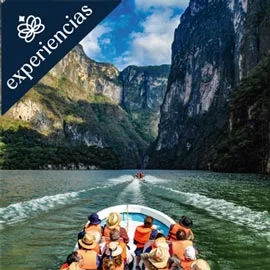 Imagen de CAMINO MAYA; CHIAPAS MÍSTICO