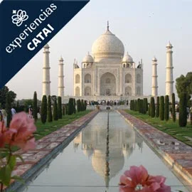 Imagen de INDIA ESTILO CATAI (INDO)