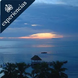 Imagen de TESOROS DEL CARIBE MEXICANO