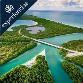 Imagen de LA RUTA DEL PARAISO: DE BACALAR A HOLBOX