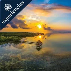 Imagen de NATURALEZA VIVA EN CARIBE MÉXICANO Y YUCATÁN
