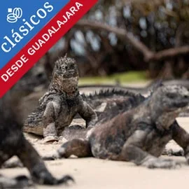 Imagen de TRIÁNGULO DE ORO CON GALÁPAGOS DESDE GUADALAJARA
