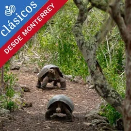 Imagen de TRIÁNGULO DE ORO CON GALÁPAGOS DESDE MONTERREY