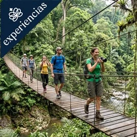 Imagen de LO MEJOR DE MALASIA Y BORNEO