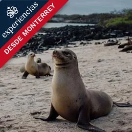 Imagen de ISLAS GALÁPAGOS DESDE MONTERREY