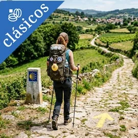 Imagen de CAMINO DE SANTIAGO FRANCÉS (SUP) 2026