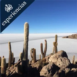 Imagen de LO MEJOR DE BOLIVIA