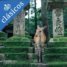 Imagen de JÁPON ESENCIAL CON OSAKA (TOKYO - TOKYO)